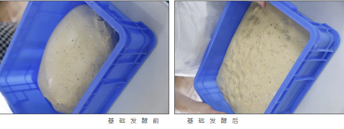 學習蛋糕培訓班之基礎(chǔ)發(fā)酵