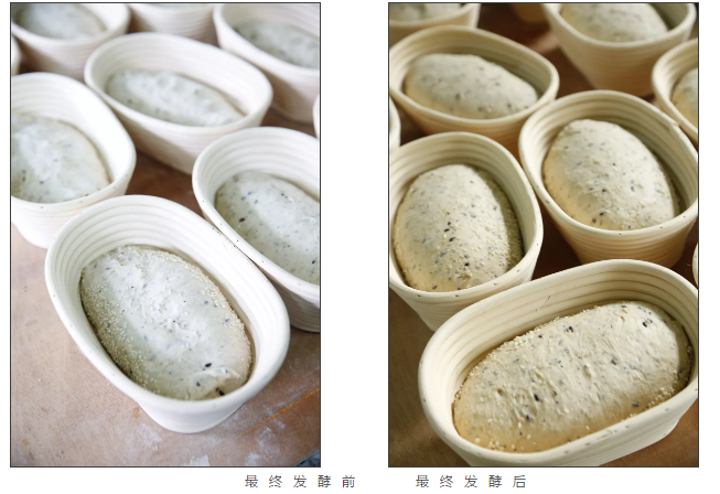 糕點烘焙學校之最終發(fā)酵