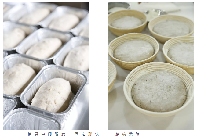 學習蛋糕培訓班超全教學