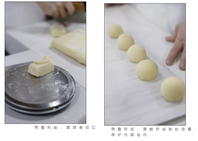 蛋糕面包培訓(xùn)班之預(yù)整形·發(fā)酵